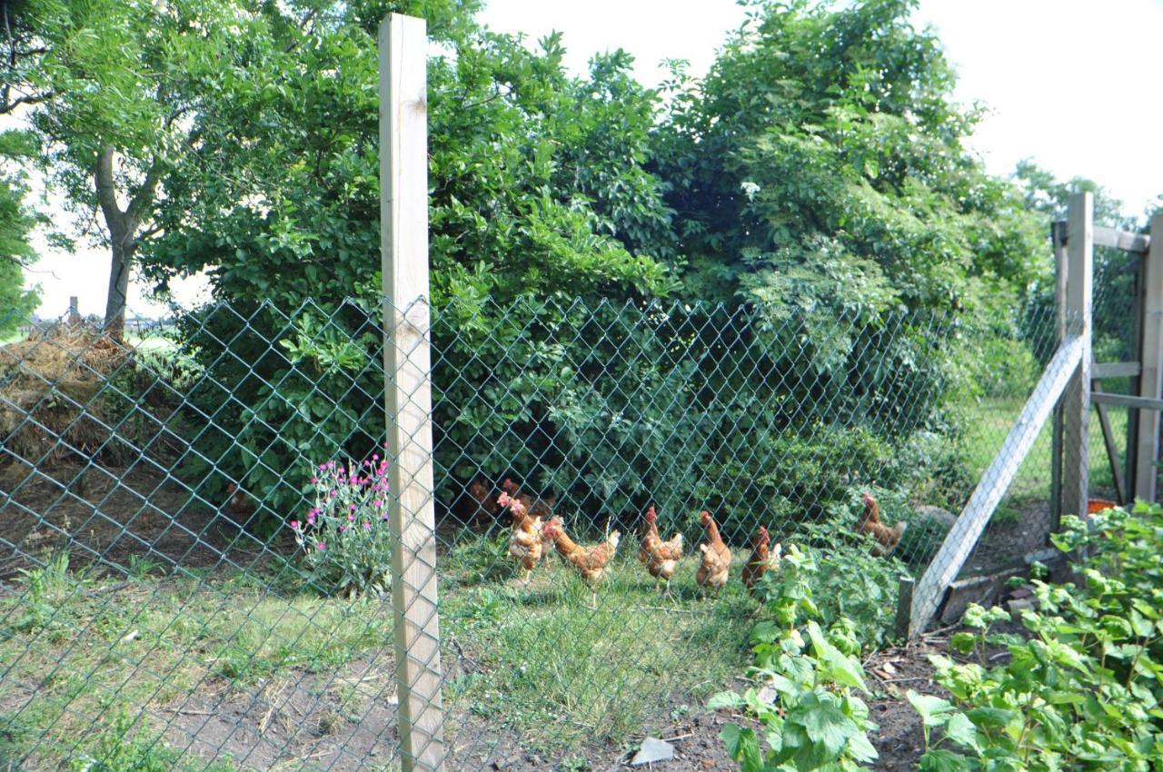 Ferienwohnung Landliebe 65347 Moormerland Εξωτερικό φωτογραφία